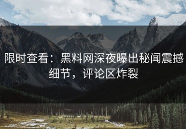 限时查看：黑料网深夜曝出秘闻震撼细节，评论区炸裂