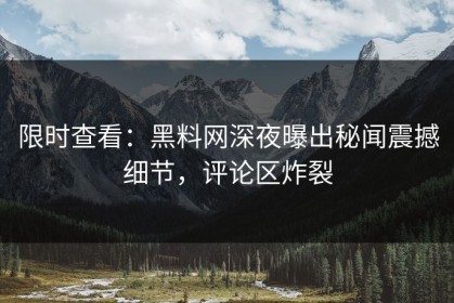 限时查看：黑料网深夜曝出秘闻震撼细节，评论区炸裂