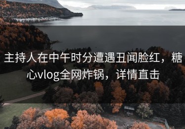 主持人在中午时分遭遇丑闻脸红，糖心vlog全网炸锅，详情直击