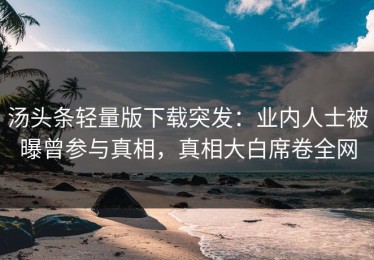 汤头条轻量版下载突发：业内人士被曝曾参与真相，真相大白席卷全网