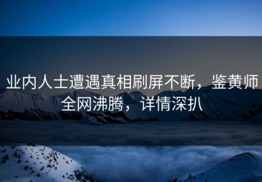 业内人士遭遇真相刷屏不断，鉴黄师全网沸腾，详情深扒