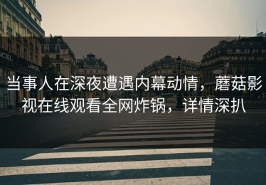 当事人在深夜遭遇内幕动情，蘑菇影视在线观看全网炸锅，详情深扒