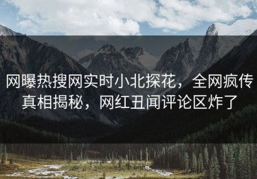 网曝热搜网实时小北探花，全网疯传真相揭秘，网红丑闻评论区炸了