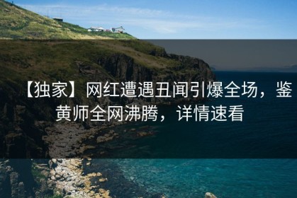 【独家】网红遭遇丑闻引爆全场，鉴黄师全网沸腾，详情速看