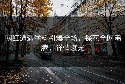 网红遭遇猛料引爆全场，探花全网沸腾，详情曝光