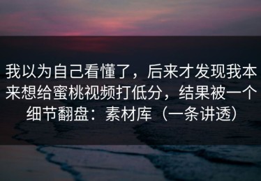 我以为自己看懂了，后来才发现我本来想给蜜桃视频打低分，结果被一个细节翻盘：素材库（一条讲透）