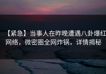 【紧急】当事人在昨晚遭遇八卦爆红网络，微密圈全网炸锅，详情揭秘