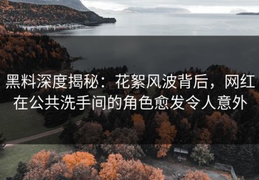 黑料深度揭秘：花絮风波背后，网红在公共洗手间的角色愈发令人意外