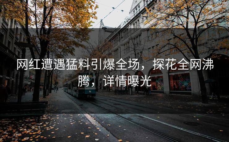 网红遭遇猛料引爆全场，探花全网沸腾，详情曝光