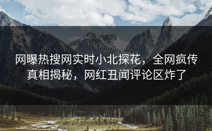 网曝热搜网实时小北探花，全网疯传真相揭秘，网红丑闻评论区炸了