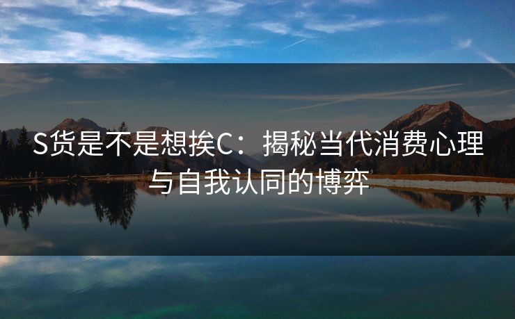 S货是不是想挨C：揭秘当代消费心理与自我认同的博弈