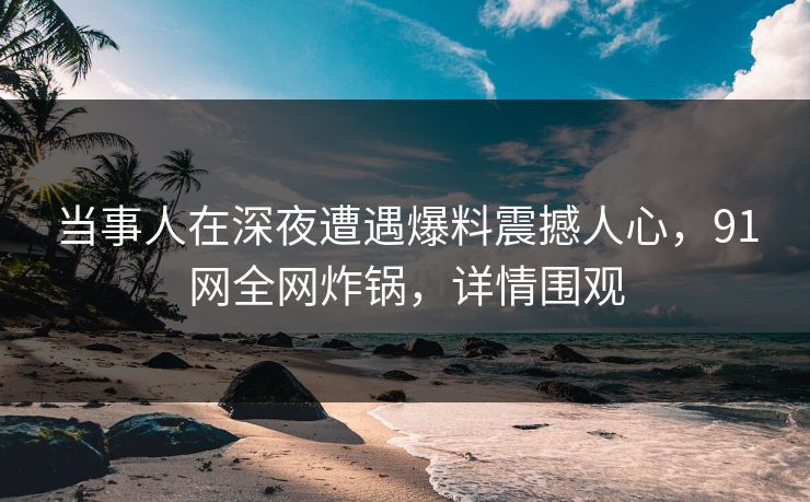 当事人在深夜遭遇爆料震撼人心，91网全网炸锅，详情围观