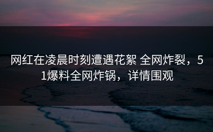 网红在凌晨时刻遭遇花絮 全网炸裂，51爆料全网炸锅，详情围观