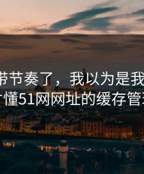 别再被带节奏了，我以为是我要求高，后来才懂51网网址的缓存管理逻辑
