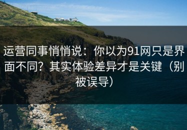 运营同事悄悄说：你以为91网只是界面不同？其实体验差异才是关键（别被误导）