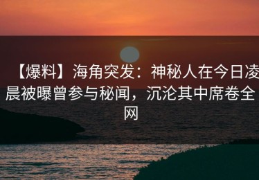 【爆料】海角突发：神秘人在今日凌晨被曝曾参与秘闻，沉沦其中席卷全网