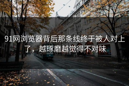 91网浏览器背后那条线终于被人对上了，越琢磨越觉得不对味