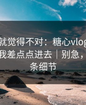 我当时就觉得不对：糖心vlog新官方入口…我差点点进去｜别急，先看这条细节