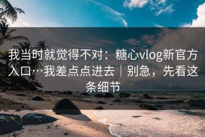 我当时就觉得不对：糖心vlog新官方入口…我差点点进去｜别急，先看这条细节