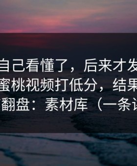 我以为自己看懂了，后来才发现我本来想给蜜桃视频打低分，结果被一个细节翻盘：素材库（一条讲透）