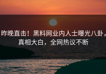 昨晚直击！黑料网业内人士曝光八卦，真相大白，全网热议不断