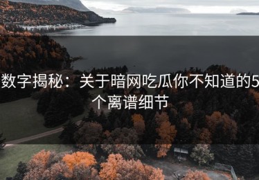 数字揭秘：关于暗网吃瓜你不知道的5个离谱细节