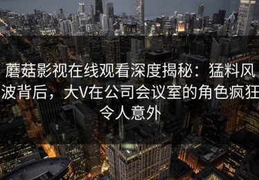 蘑菇影视在线观看深度揭秘：猛料风波背后，大V在公司会议室的角色疯狂令人意外