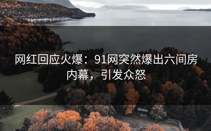 网红回应火爆：91网突然爆出六间房内幕，引发众怒